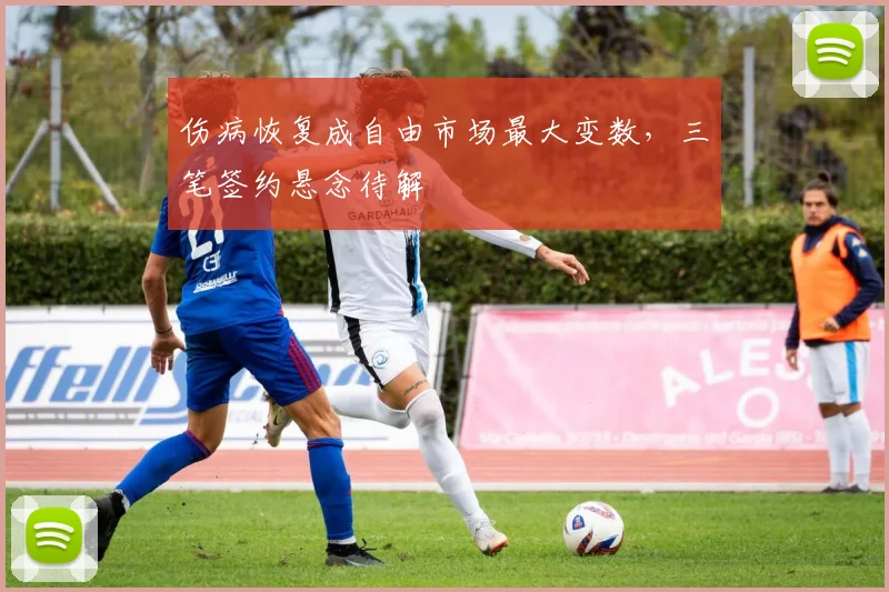 伤病恢复成自由市场最大变数,三笔签约悬念待解