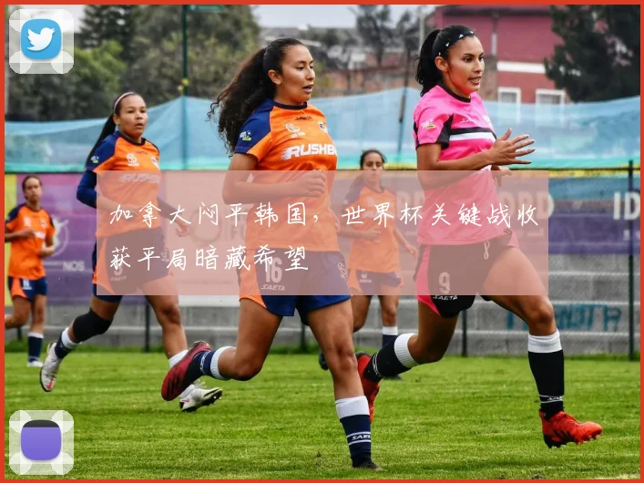加拿大闷平韩国,世界杯关键战收获平局暗藏希望