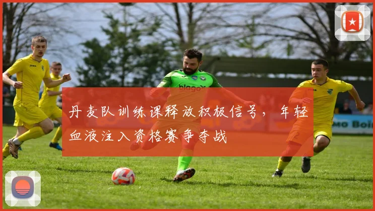 丹麦队训练课释放积极信号，年轻血液注入资格赛争夺战