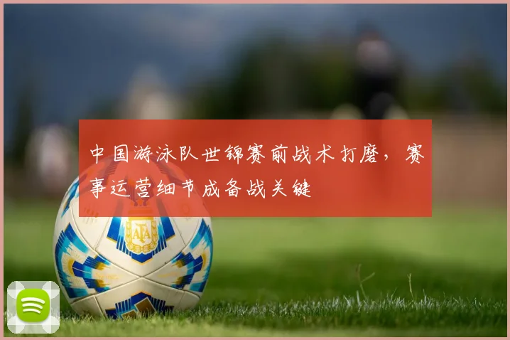 中国游泳队世锦赛前战术打磨,赛事运营细节成备战关键
