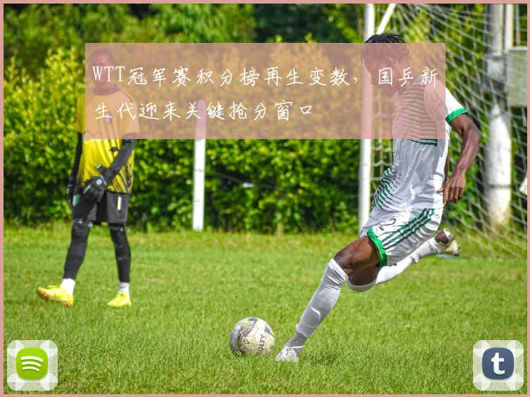 WTT冠军赛积分榜再生变数,国乒新生代迎来关键抢分窗口